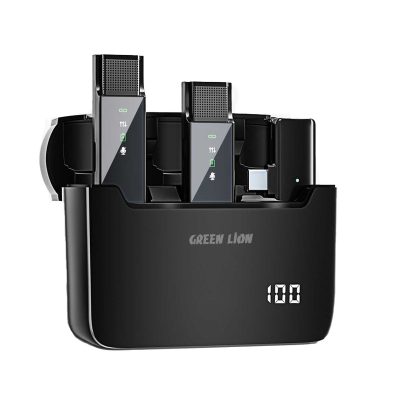 Green Lion 2-n-1 Digital Display Microphone Type-C - Image 2