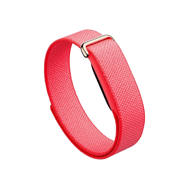 Google Fitbit air